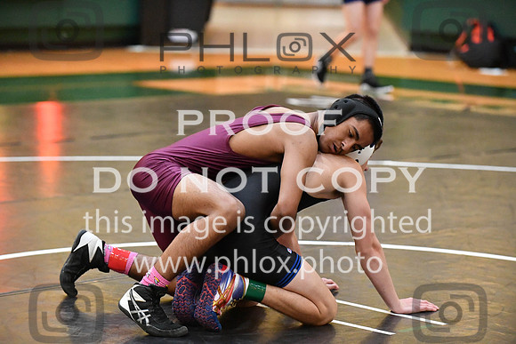 RAY_0457
