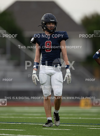 DLS_4697