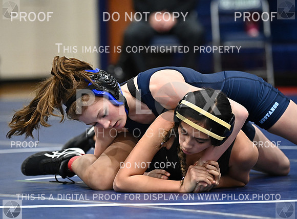 DLS_4448