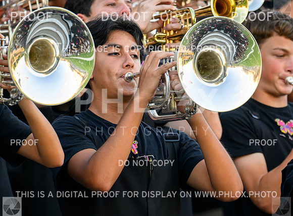 PSZ_183935