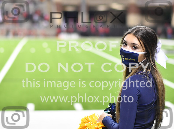 ND5_2894