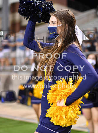 ND5_2953