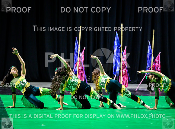 PSZ-20064646