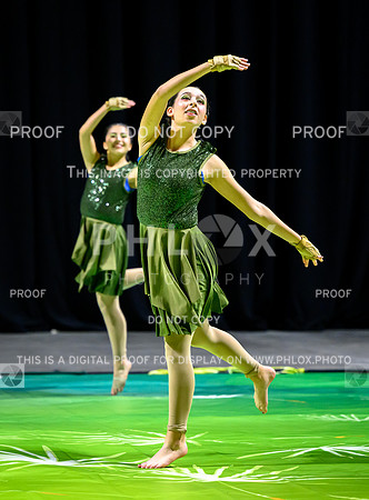PSZ-20153691