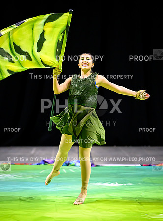 PSZ-20172894