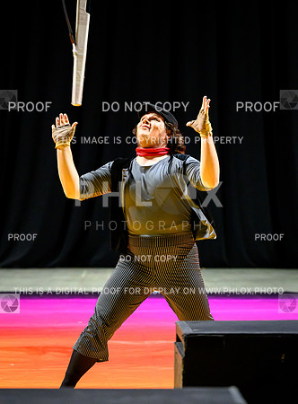 PSZ-20252696