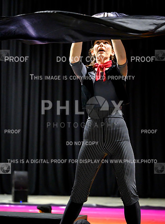 PSZ-20255077