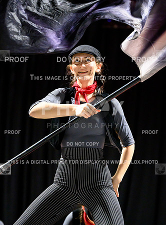 PSZ-20255584