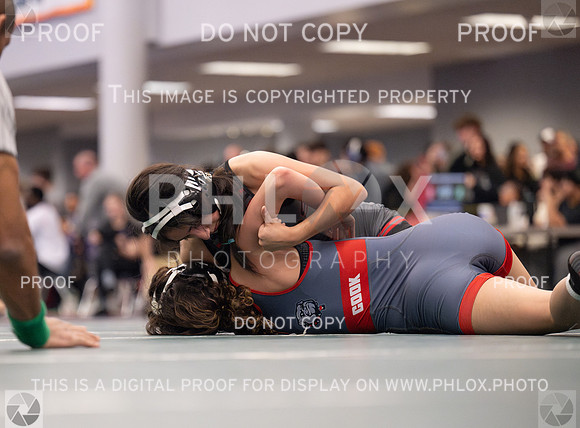 DLS_1479-Enhanced-NR