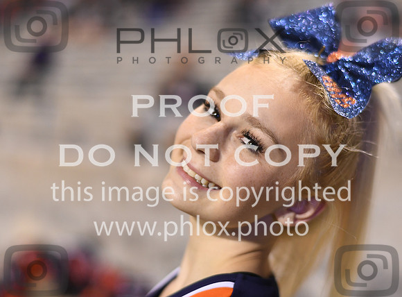 ND5_2861