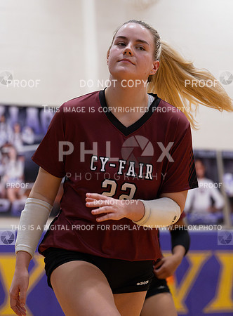 DLS_0698