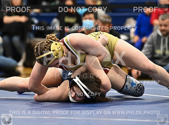 DLS_4515