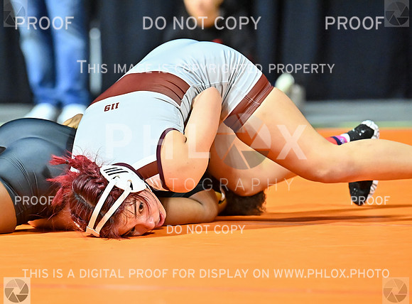 DLS_7207