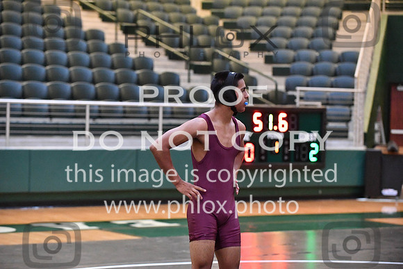 RAY_0451