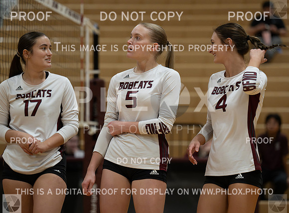 DLS_7435