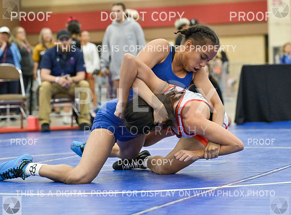DLS_3198