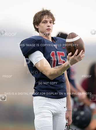 DLS_4739