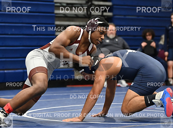 DLS_4308