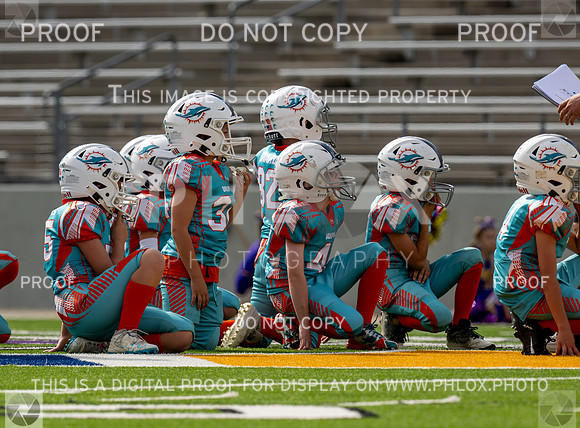 12pm Freshman -Vikings (V) vs Dolphins (H)-72