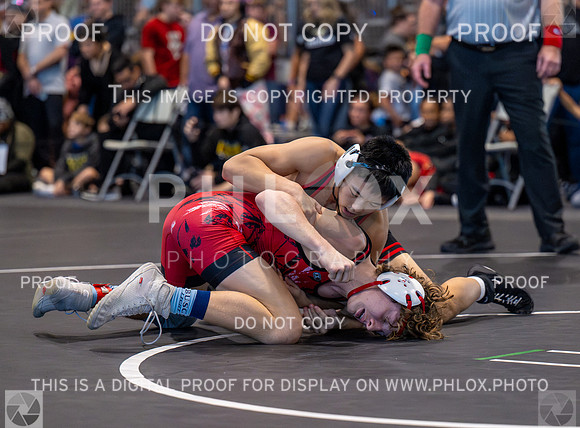 DLS_3016