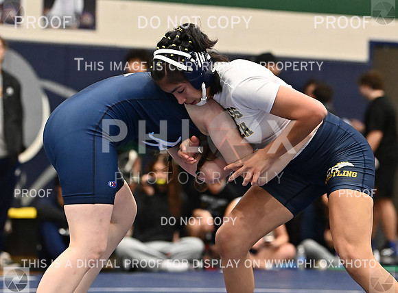 DLS_5812