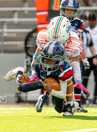2pm Sophomore -Dolphins (V) vs Patriots (H)-145