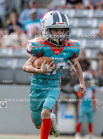 12pm Freshman -Vikings (V) vs Dolphins (H)-81