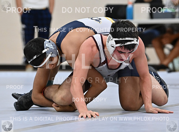 DLS_4160