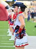 DLS_8682