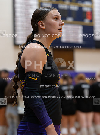 DLS_0590