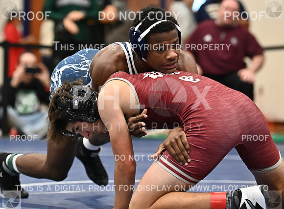 DLS_4269