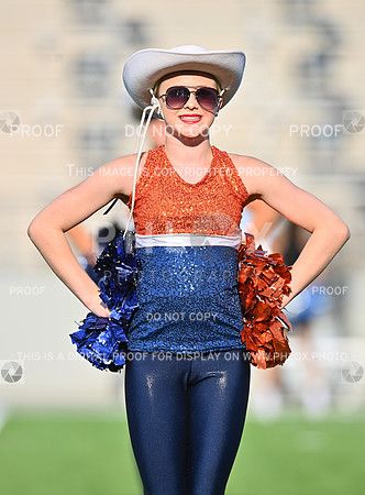 DLS_8314