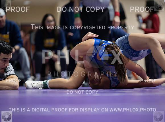 DLS_9188