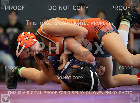 DLS_2013-Enhanced-NR