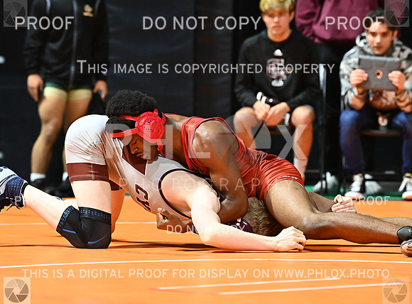 DLS_6882