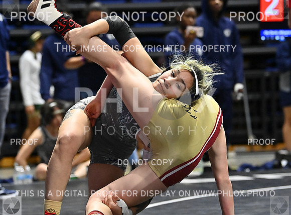 DLS_7445