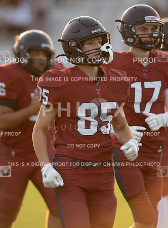 DLS_3816