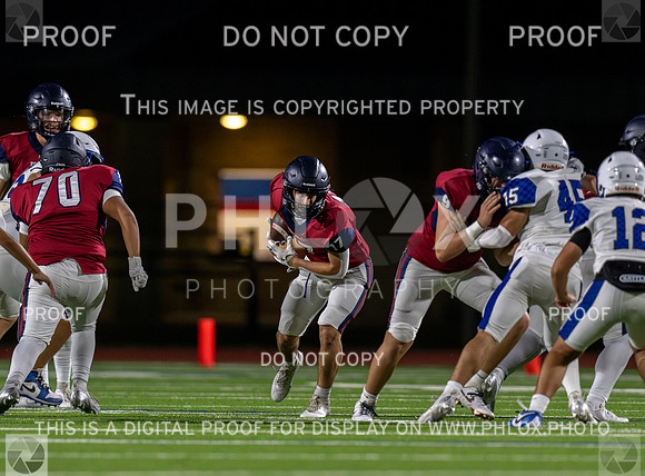 DLS_5669