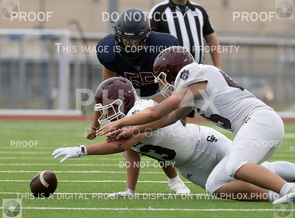 DLS_4552