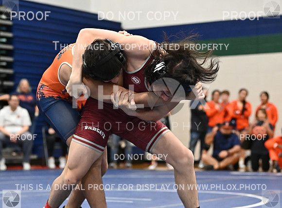 DLS_4249