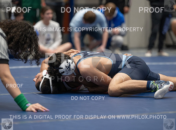 DLS_6291