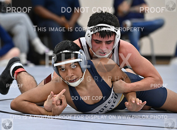 DLS_4172