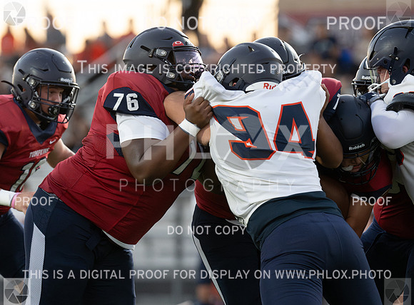 DLS_8604