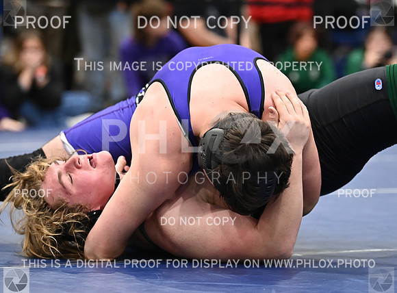 DLS_4439