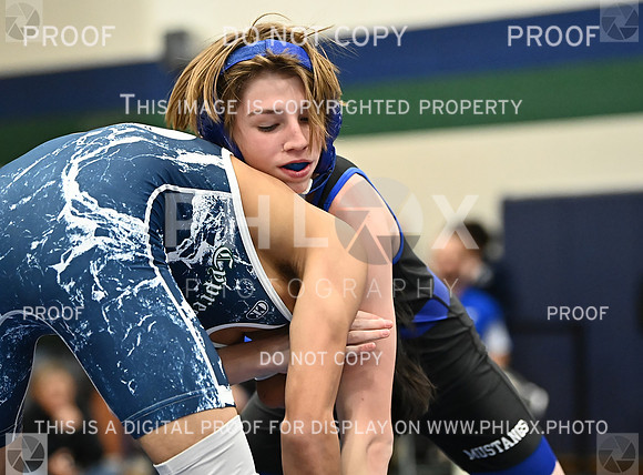 DLS_4179
