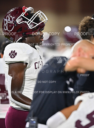 DLS_5625
