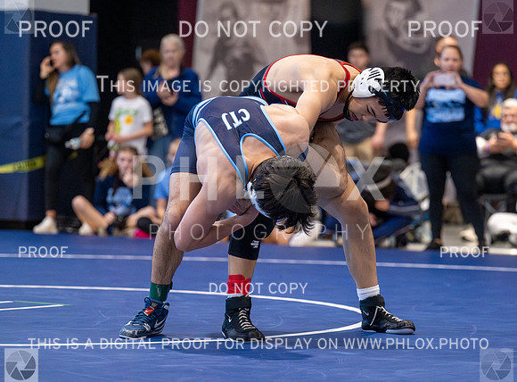 DLS_4409