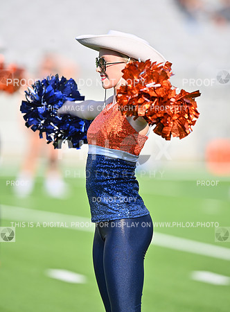 DLS_8299