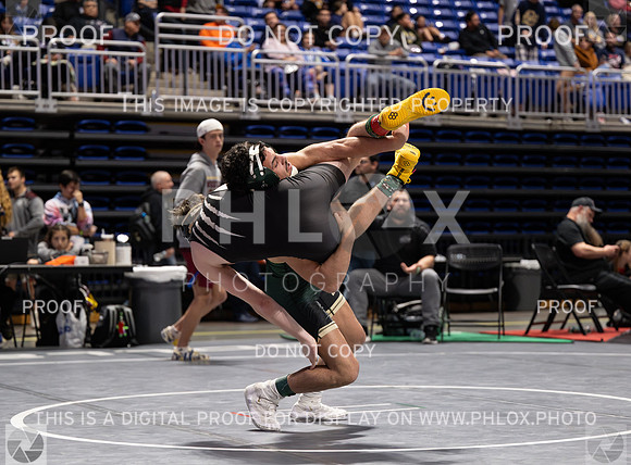 DLS_9075