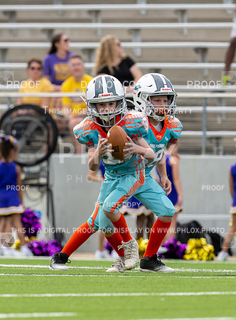 12pm Freshman -Vikings (V) vs Dolphins (H)-124